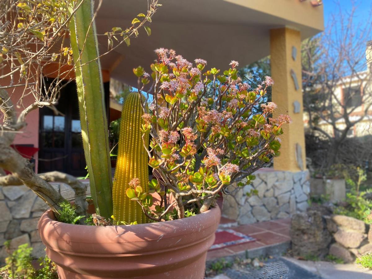 Lovely Home 5 Min Walk To The Beach, 3 Bedrooms Ample Outdoor Relax And Wifi Capitana Zewnętrze zdjęcie